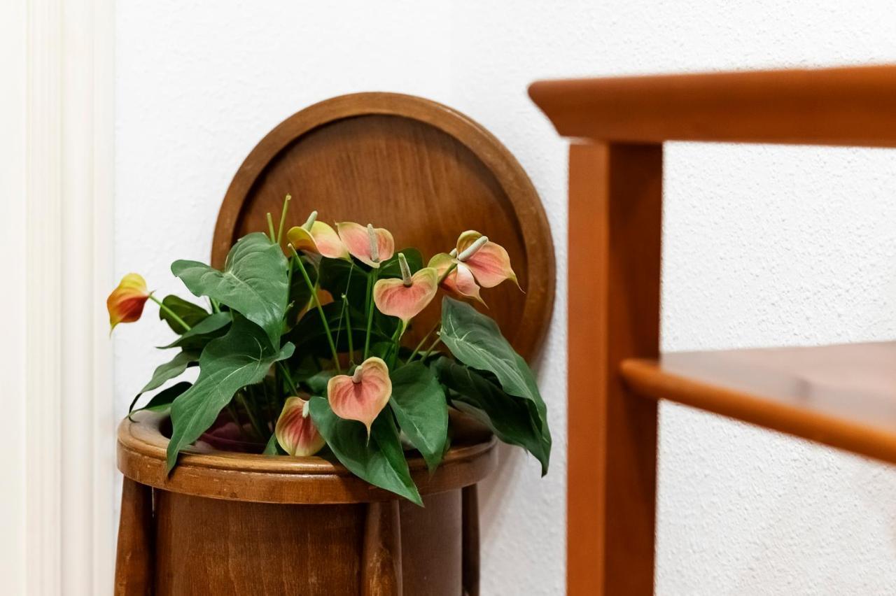 Apartament La Picacena Cuenca  Zewnętrze zdjęcie